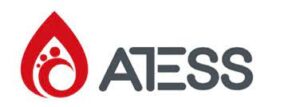 Atess-300x107